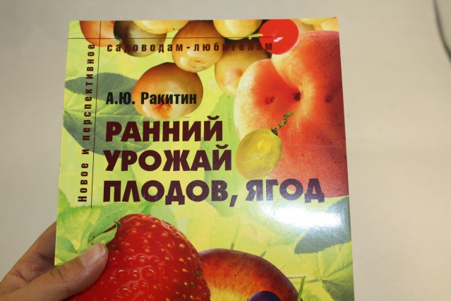 Понравилась литература Понравилась литература