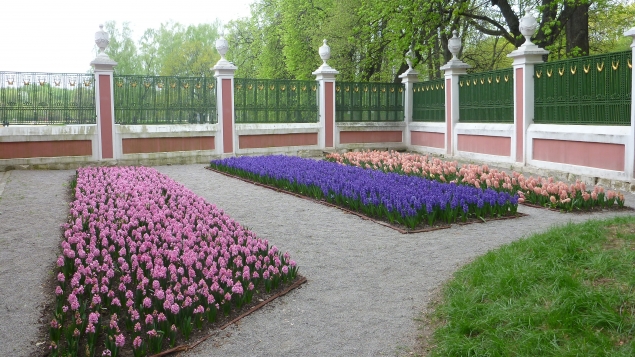 Весеннее Кусково Весеннее Кусково