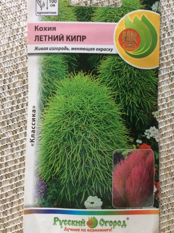 Бесподобные однолетники! К новой посевной!