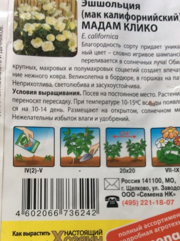 Бесподобные однолетники! К новой посевной!