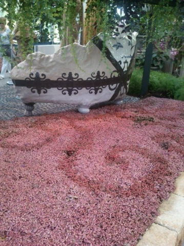 Флориада 2012
