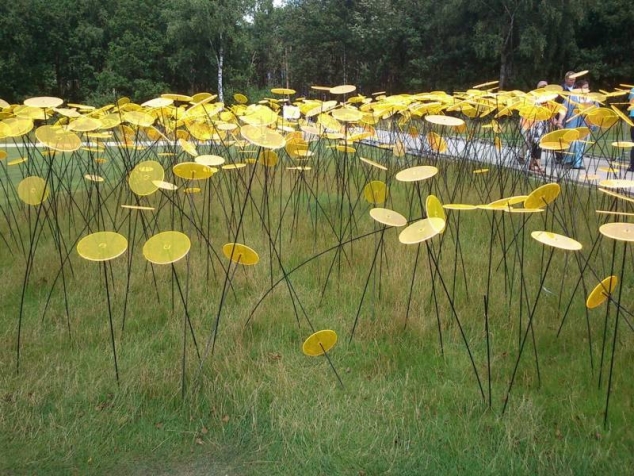 Флориада 2012