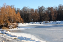 Прогулка у озера Прогулка у озера