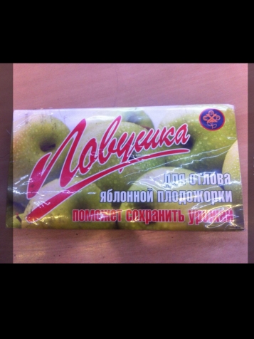 Феромонные ловушки Феромонные ловушки