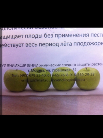 Феромонные ловушки Феромонные ловушки