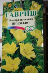 Жёлто-голубая гамма цветов Жёлто-голубая гамма цветов