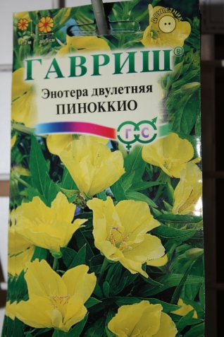 Жёлто-голубая гамма цветов Жёлто-голубая гамма цветов