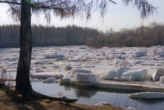 Ледоход Ледоход