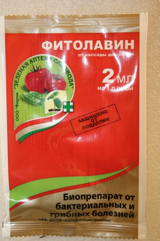 Парша груши Парша груши