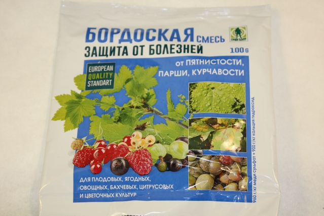 Парша груши Парша груши