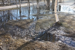 Городской парк