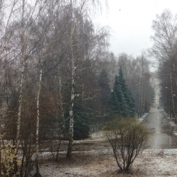 Погода... Погода...