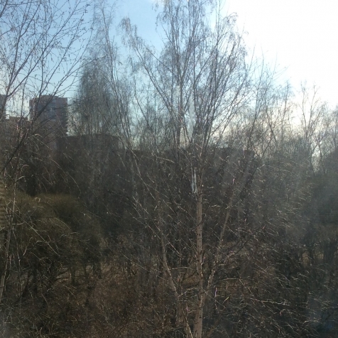 Дача в черте города Дача в черте города