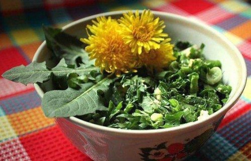 Из одуванчиков Из одуванчиков