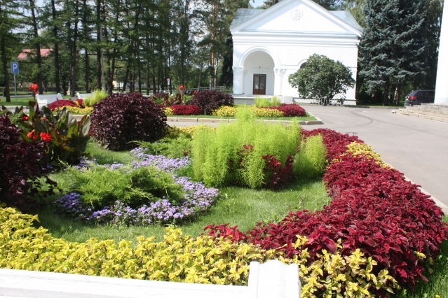 Клумба в городе