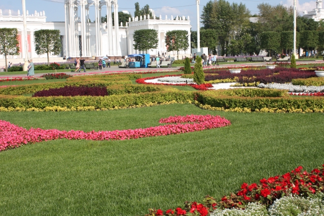 Ковёр цветов Ковёр цветов