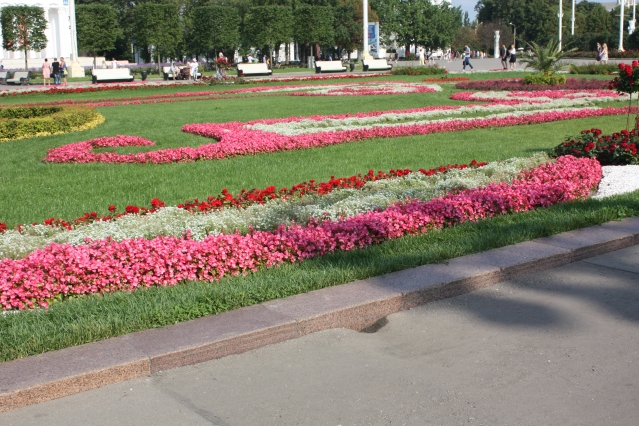 Ковёр цветов Ковёр цветов