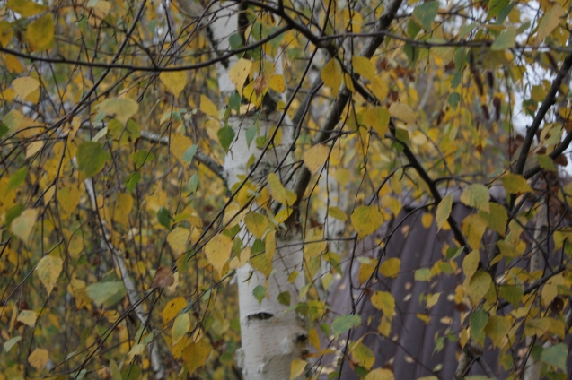 Не в городе Не в городе
