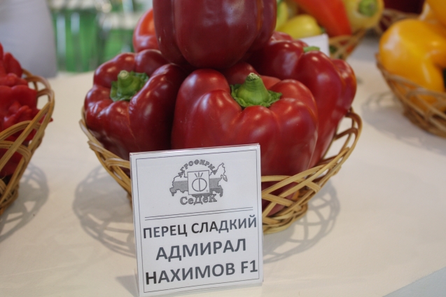 Ваше плодородие Ваше плодородие