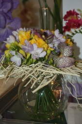 Фрезия (Freesia). Выращивание и уход в саду и в домашних условиях Фрезия (Freesia). Выращивание и уход в саду и в домашних условиях