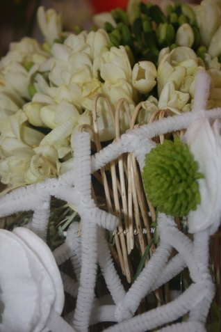 Фрезия (Freesia). Выращивание и уход в саду и в домашних условиях Фрезия (Freesia). Выращивание и уход в саду и в домашних условиях