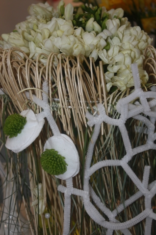 Фрезия (Freesia). Выращивание и уход в саду и в домашних условиях Фрезия (Freesia). Выращивание и уход в саду и в домашних условиях