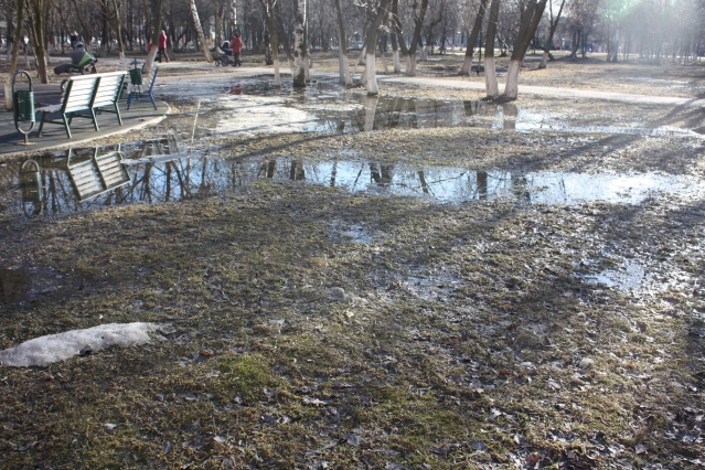 Сезонные работы в саду и огороде: четвертая неделя марта Сезонные работы в саду и огороде: четвертая неделя марта