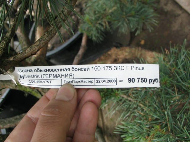 Аббревиатуры Аббревиатуры