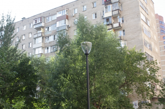 Самолечение. Как деревья справляются с болезнями Самолечение. Как деревья справляются с болезнями