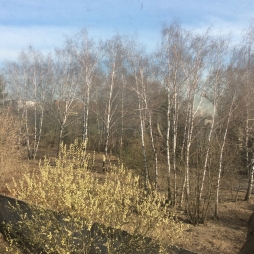 Неудачный опыт — тоже опыт. Ошибки садоводов, на которых можно поучиться Неудачный опыт — тоже опыт. Ошибки садоводов, на которых можно поучиться