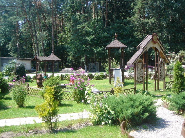 Хвойные середнячки Хвойные середнячки