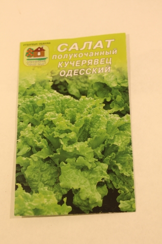 Самый ранний огород Самый ранний огород