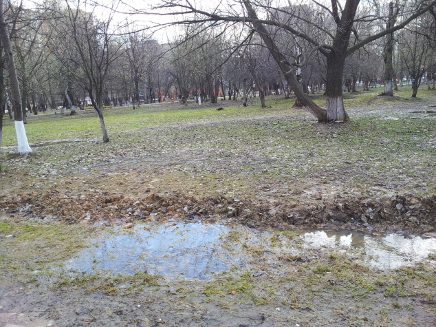 Чем на огороде питаются кроты, зачем роют землю? Чем на огороде питаются кроты, зачем роют землю?