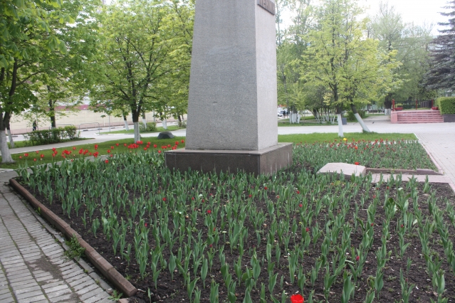 В городе цветут тюльпаны В городе цветут тюльпаны