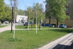 Чем удобрять газон? Чем удобрять газон?