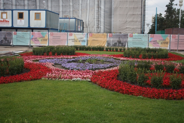 Городские цветы Городские цветы