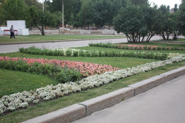 Городские цветы Городские цветы
