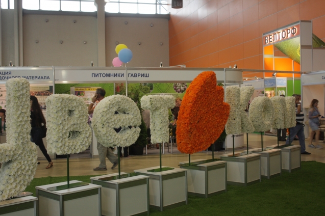 Из цветов Из цветов