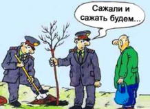 Сажаем осенью Сажаем осенью
