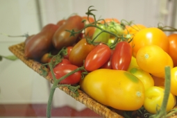 Неорганические безопасные продукты Неорганические безопасные продукты