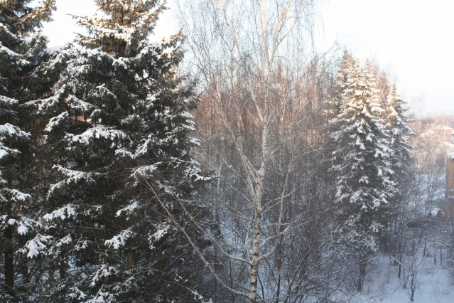 Зима
