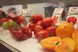 От чего зависит вкус томатов От чего зависит вкус томатов