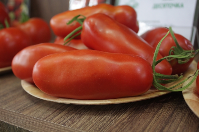 От чего зависит вкус томатов От чего зависит вкус томатов