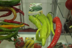 Ошибки, которые лишают больших урожаев перца Ошибки, которые лишают больших урожаев перца