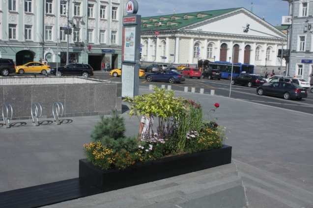 В столице ожидается «Московское лето. Цветочный джем» В столице ожидается «Московское лето. Цветочный джем»
