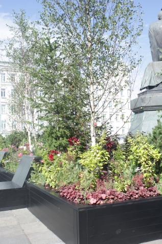 В столице ожидается «Московское лето. Цветочный джем» В столице ожидается «Московское лето. Цветочный джем»