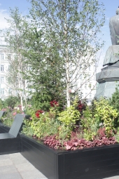 В столице ожидается «Московское лето. Цветочный джем» В столице ожидается «Московское лето. Цветочный джем»