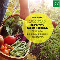 Дорого! Дорого!