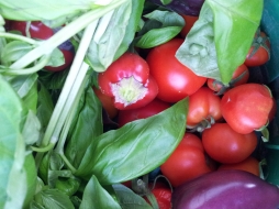 "Вкус у овощей, выращенных в вегетарии, самый настоящий. Даже зимой!" . "Вкус у овощей, выращенных в вегетарии, самый настоящий. Даже зимой!" .