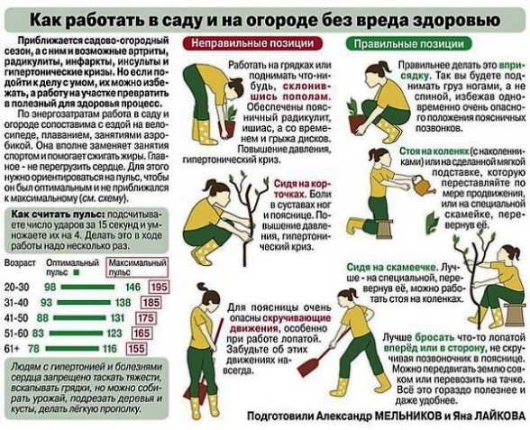 Почему работать в огороде более 3 часов нельзя Почему работать в огороде более 3 часов нельзя